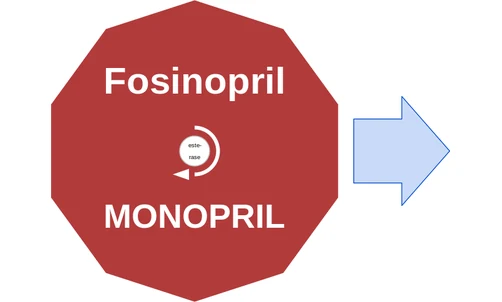 Fosinopril ballicule — decagon diagram of its receptor and enzyme targets