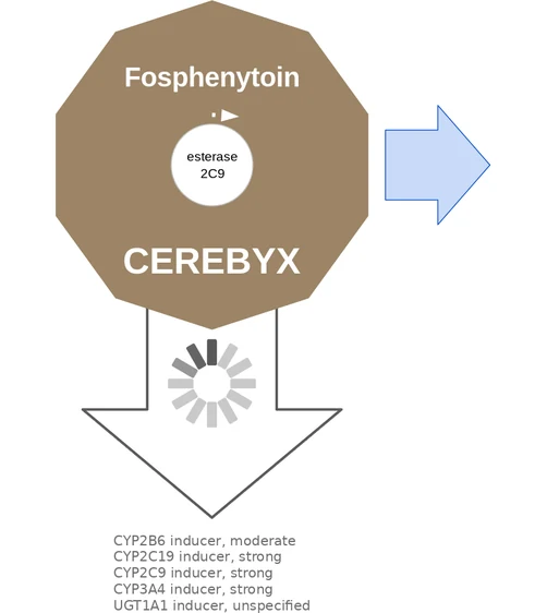 Fosphenytoin ballicule — decagon diagram of its receptor and enzyme targets