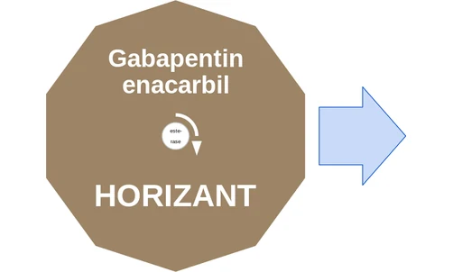 Gabapentin enacarbil ballicule — decagon diagram of its receptor and enzyme targets