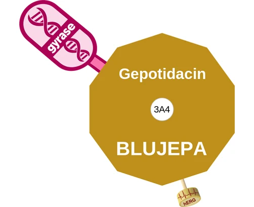 Gepotidacin ballicule — decagon diagram of its receptor and enzyme targets