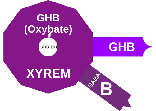 GHB (Oxybate) ballicule — decagon diagram of its receptor and enzyme targets