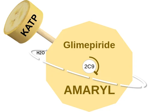 Glimepiride ballicule — decagon diagram of its receptor and enzyme targets