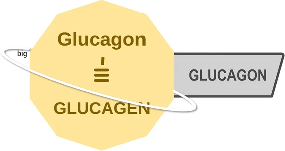 Glucagon ballicule — decagon diagram of its receptor and enzyme targets