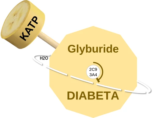 Glyburide ballicule — decagon diagram of its receptor and enzyme targets