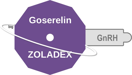 Goserelin ballicule — decagon diagram of its receptor and enzyme targets