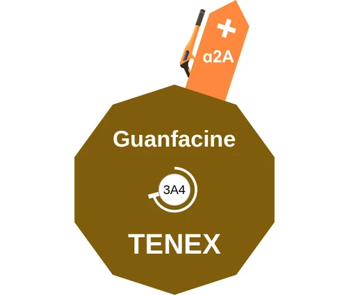 Guanfacine ballicule — decagon diagram of its receptor and enzyme targets
