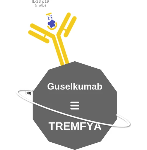 Guselkumab ballicule — decagon diagram of its receptor and enzyme targets