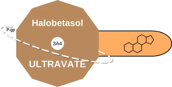 Halobetasol ballicule — decagon diagram of its receptor and enzyme targets