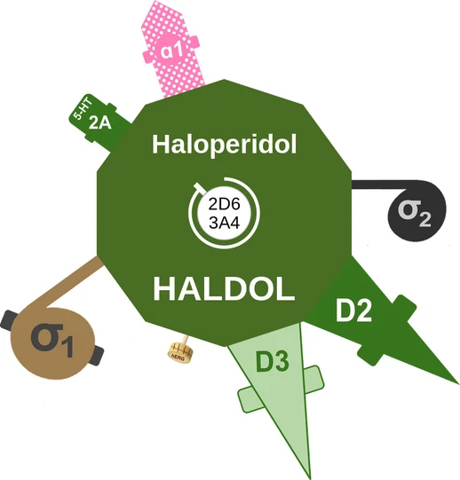 Haloperidol ballicule — decagon diagram of its receptor and enzyme targets
