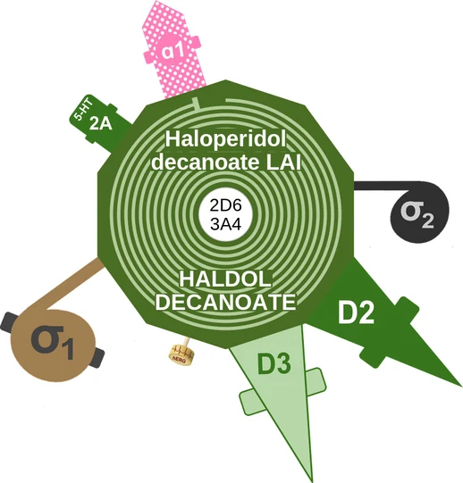 Haloperidol decanoate LAI ballicule — decagon diagram of its receptor and enzyme targets