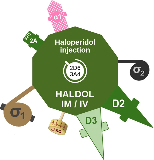 Haloperidol injection ballicule — decagon diagram of its receptor and enzyme targets