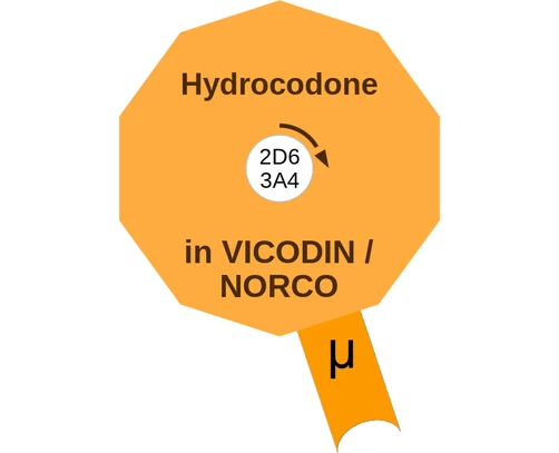 Hydrocodone ballicule — decagon diagram of its receptor and enzyme targets