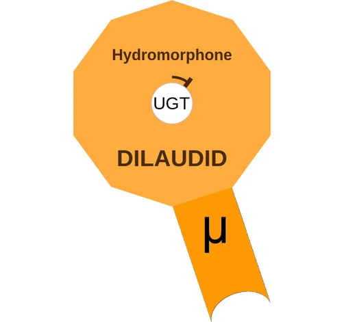 Hydromorphone ballicule — decagon diagram of its receptor and enzyme targets
