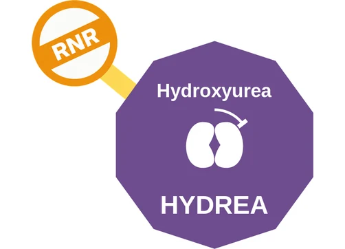 Hydroxyurea ballicule — decagon diagram of its receptor and enzyme targets