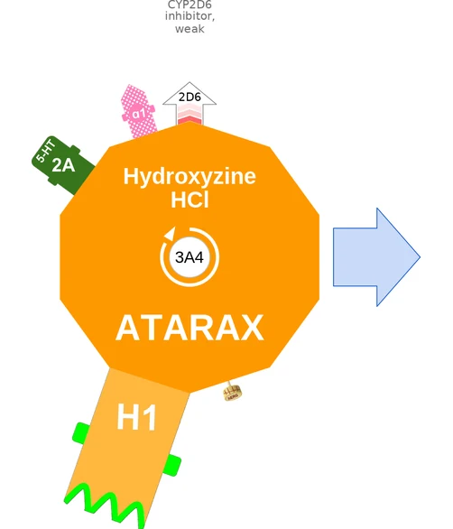 Hydroxyzine HCl ballicule — decagon diagram of its receptor and enzyme targets