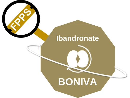 Ibandronate ballicule — decagon diagram of its receptor and enzyme targets