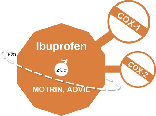 Ibuprofen ballicule — decagon diagram of its receptor and enzyme targets