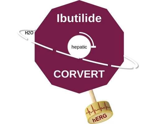 Ibutilide ballicule — decagon diagram of its receptor and enzyme targets