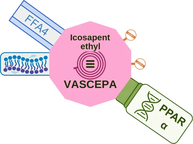 Icosapent ethyl ballicule — decagon diagram of its receptor and enzyme targets