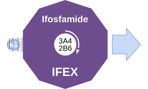 Ifosfamide ballicule — decagon diagram of its receptor and enzyme targets