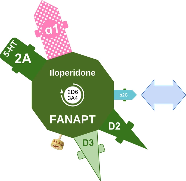 Iloperidone ballicule — decagon diagram of its receptor and enzyme targets
