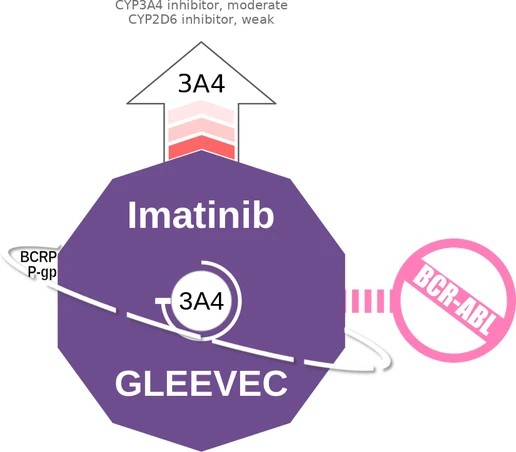 Imatinib ballicule — decagon diagram of its receptor and enzyme targets