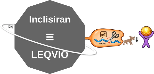 Inclisiran ballicule — decagon diagram of its receptor and enzyme targets