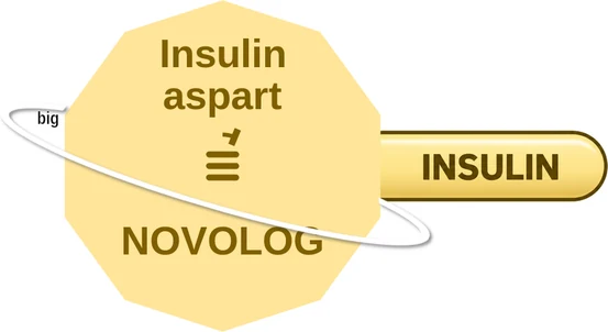 Insulin aspart ballicule — decagon diagram of its receptor and enzyme targets