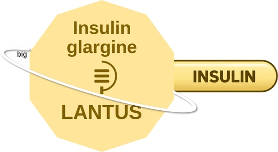 Insulin glargine ballicule — decagon diagram of its receptor and enzyme targets