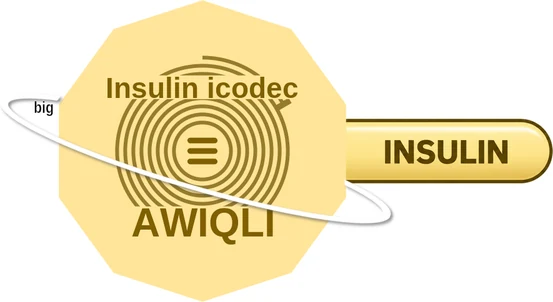 Insulin icodec ballicule — decagon diagram of its receptor and enzyme targets