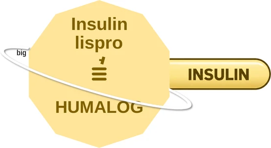 Insulin lispro ballicule — decagon diagram of its receptor and enzyme targets