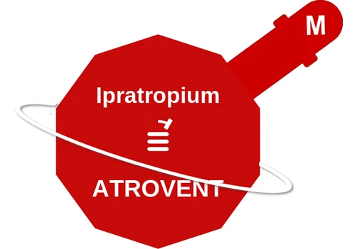 Ipratropium ballicule — decagon diagram of its receptor and enzyme targets