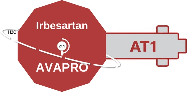 Irbesartan ballicule — decagon diagram of its receptor and enzyme targets