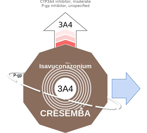 Isavuconazonium ballicule — decagon diagram of its receptor and enzyme targets