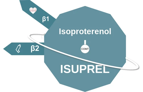 Isoproterenol ballicule — decagon diagram of its receptor and enzyme targets