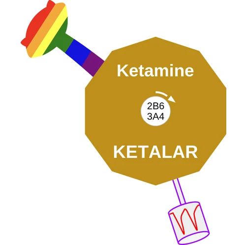 Ketamine ballicule — decagon diagram of its receptor and enzyme targets