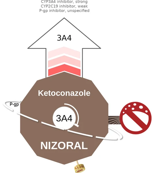 Ketoconazole ballicule — decagon diagram of its receptor and enzyme targets