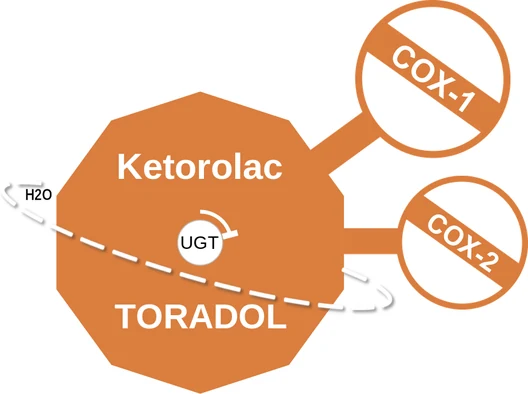 Ketorolac ballicule — decagon diagram of its receptor and enzyme targets