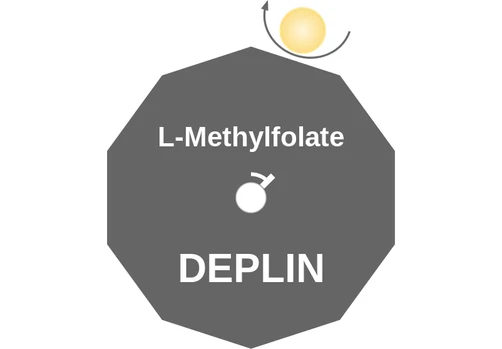 L-Methylfolate ballicule — decagon diagram of its receptor and enzyme targets
