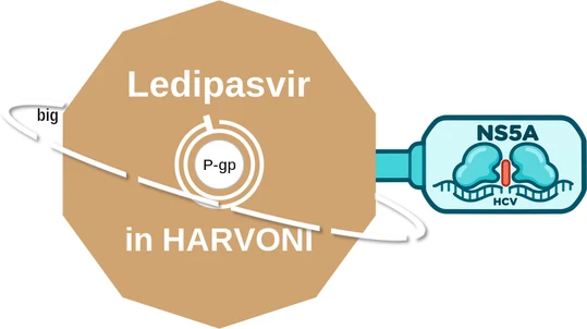 Ledipasvir ballicule — decagon mechanism diagram