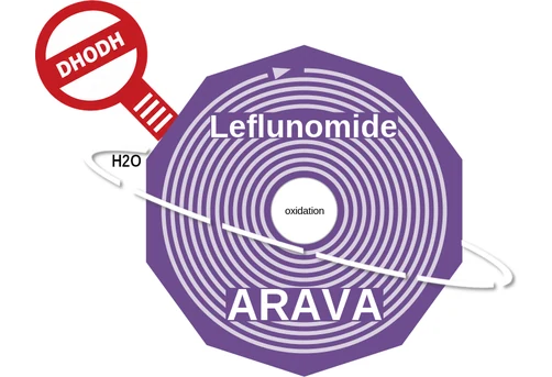 Leflunomide ballicule — decagon diagram of its receptor and enzyme targets