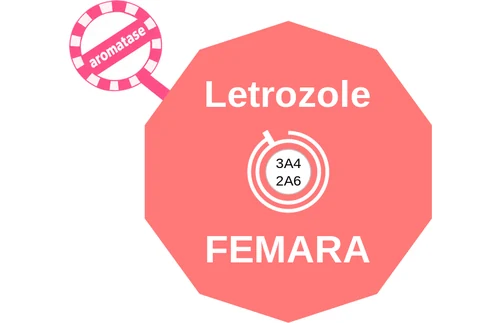 Letrozole ballicule — decagon diagram of its receptor and enzyme targets