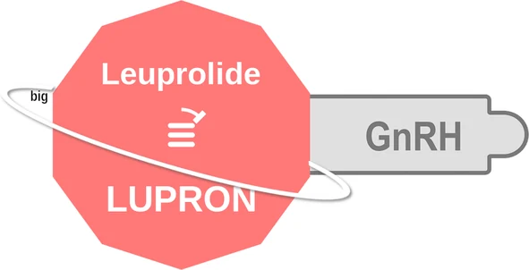 Leuprolide ballicule — decagon diagram of its receptor and enzyme targets