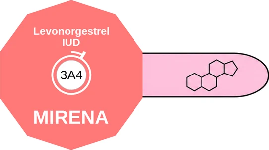 Levonorgestrel IUD ballicule — decagon diagram of its receptor and enzyme targets