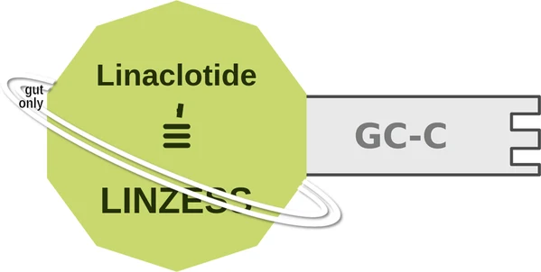 Linaclotide ballicule — decagon diagram of its receptor and enzyme targets