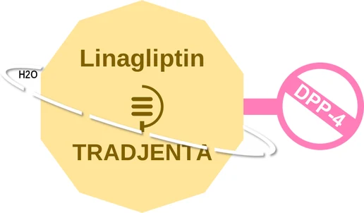 Linagliptin ballicule — decagon diagram of its receptor and enzyme targets