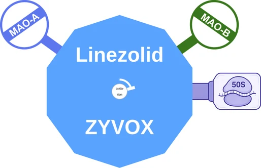 Linezolid ballicule — decagon diagram of its receptor and enzyme targets