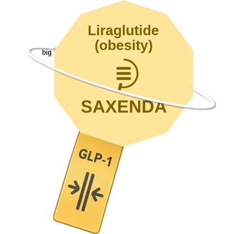 Liraglutide (obesity) ballicule — decagon diagram of its receptor and enzyme targets