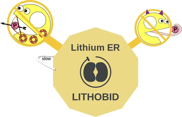 Lithium ER ballicule — decagon diagram of its receptor and enzyme targets