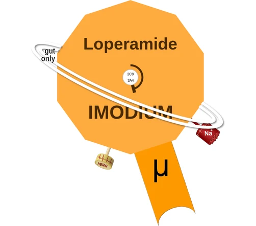 Loperamide ballicule — decagon diagram of its receptor and enzyme targets